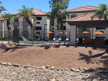 1101 S Sycamore -- #204, Mesa, AZ 85202