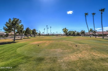 11014 Flintlock Ct, Sun Lakes, AZ 85248