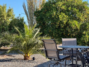 11022 Crestbrook Dr, Sun City, AZ 85351