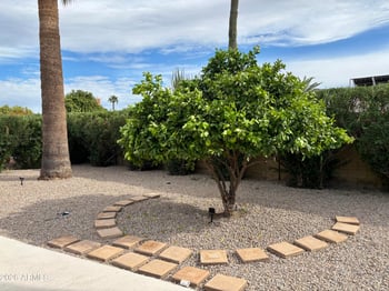 11025 W Campana Dr, Sun City, AZ 85351