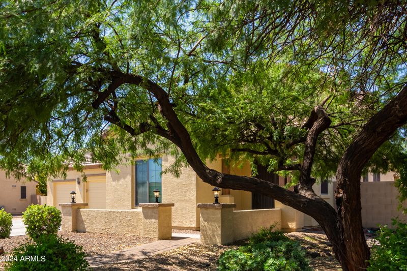 11028 E Quarry Ave, Mesa, AZ 85212