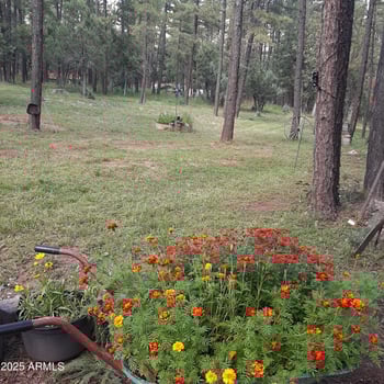 1103 Ranch Rd, Payson, AZ 85541