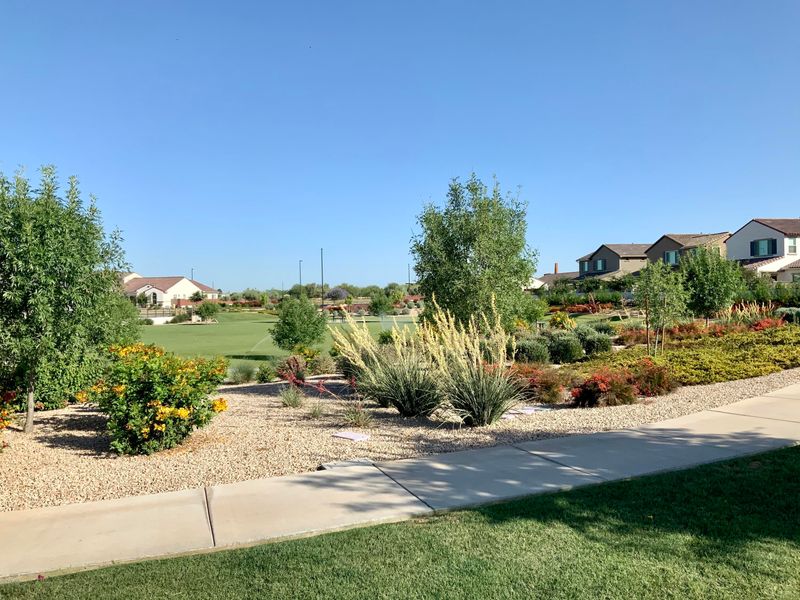 1104 E Goldcrest St, Gilbert, AZ 85297