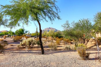 1105 110th St, Mesa, AZ 85207