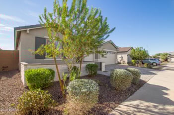 11081 Hadley St, Avondale, AZ 85323