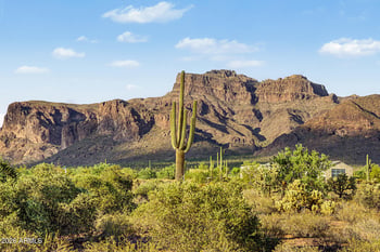 1111 S Deer Run Ct, Apache Junction, AZ 85119