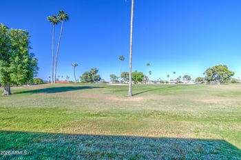 11128 Cameo Dr, Sun City, AZ 85351