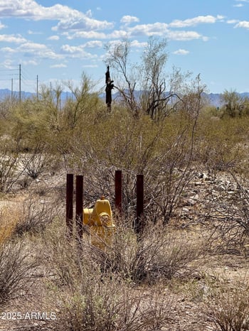 1114 N Rainbow Rd #185, Buckeye, AZ 85396