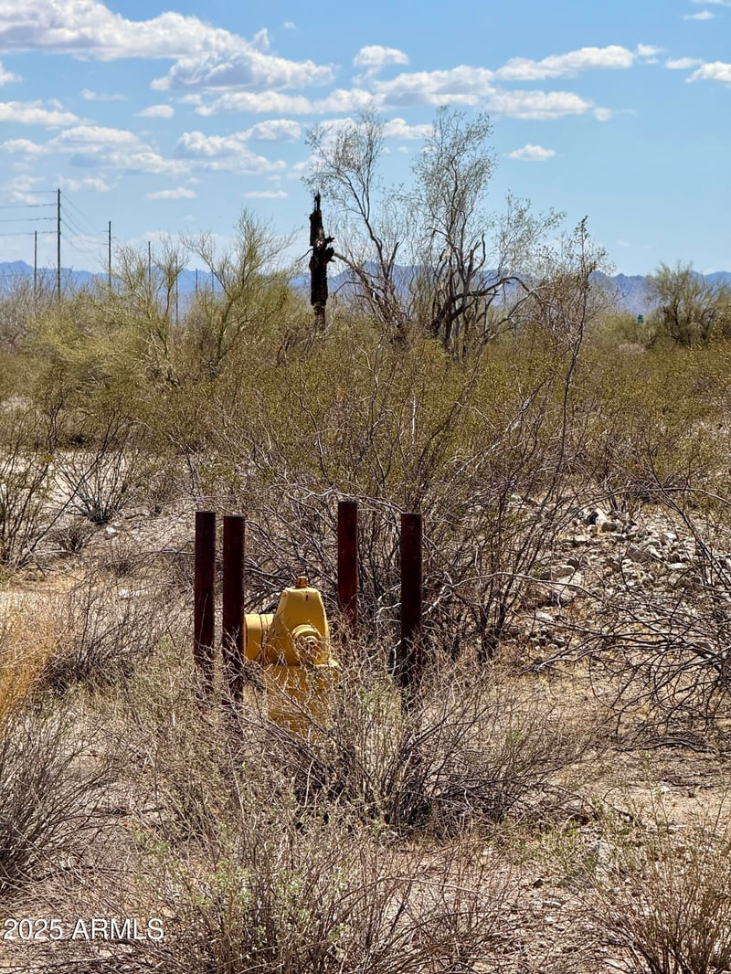 1114 N Rainbow Rd #185, Buckeye, AZ 85396