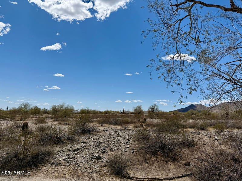 1114 N Rainbow Rd #185, Buckeye, AZ 85396