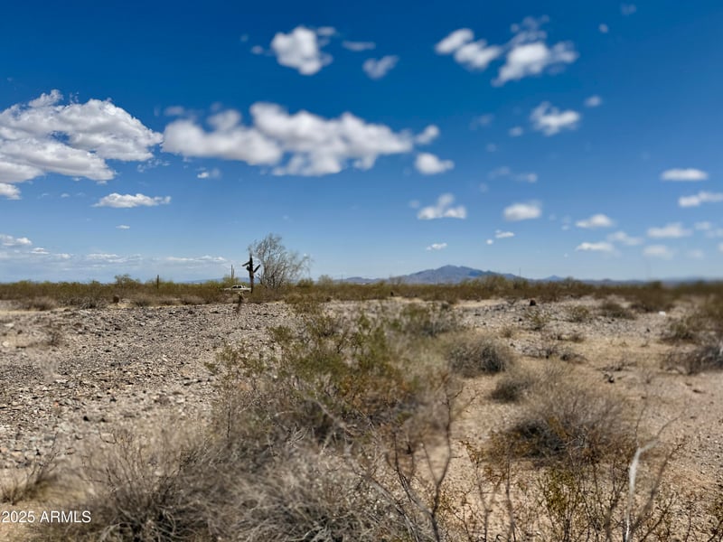 1114 Rainbow Rd #185, Buckeye, AZ 85396