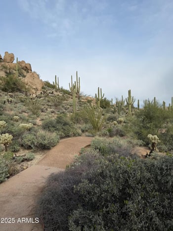 11140 White Feather Ln, Scottsdale, AZ 85262