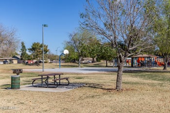 1116 Chestnut St, Mesa, AZ 85204