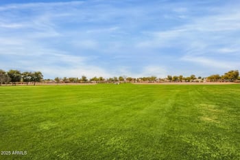 11167 Elm Ln, Avondale, AZ 85323