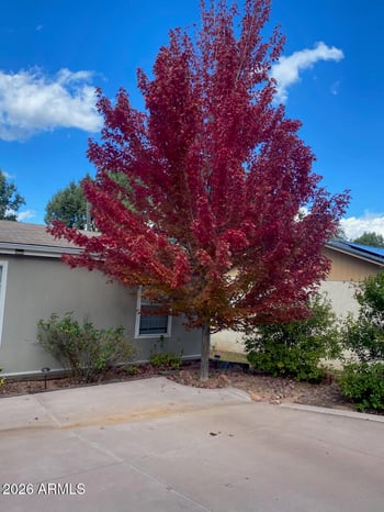 112 Pine St, Payson, AZ 85541