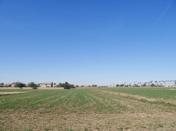 112 S 1st St, Buckeye, AZ 85326