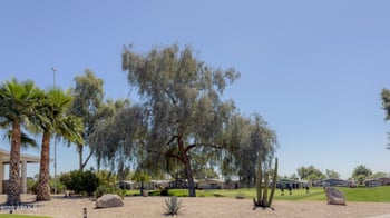 11201 El Mirage Rd #G28, El Mirage, AZ 85335