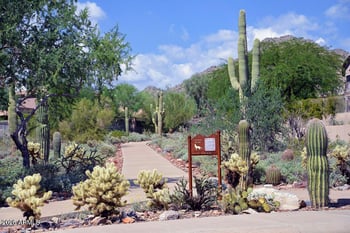 11221 Greenway Rd, Scottsdale, AZ 85255