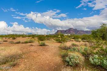 1126 Goldfield Rd, Apache Junction, AZ 85119