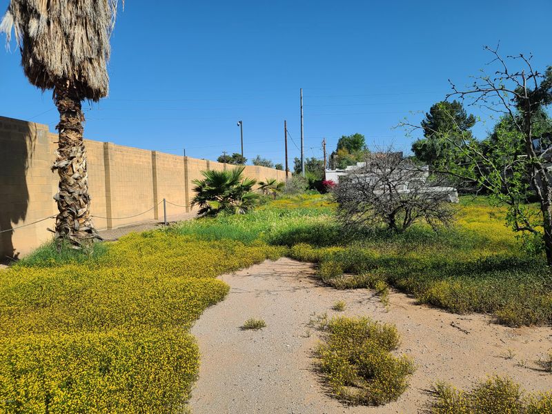1127 E Campbell Ave #6, Phoenix, AZ 85014