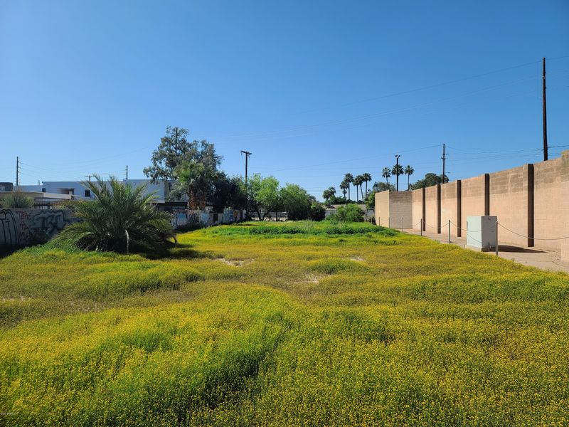 1127 E Campbell Ave #6, Phoenix, AZ 85014
