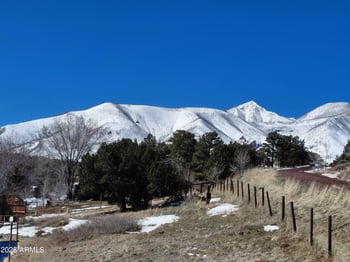 11285 Homestead Ln, Flagstaff, AZ 86004