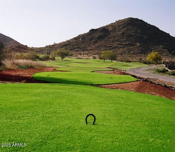 113 Desert Vista Trl, San Tan Valley, AZ 85143