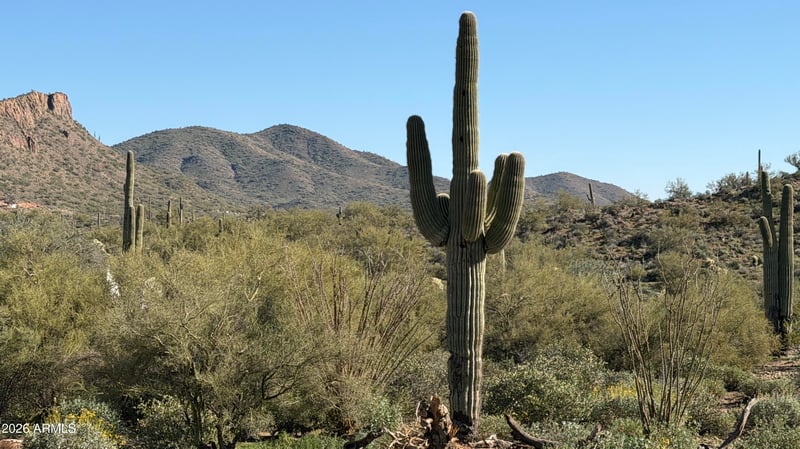 113 Bingham Dr, New River, AZ 85087