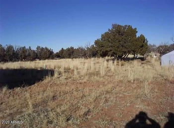 1131 Southwell Az Rd #013D, Heber, AZ 85928