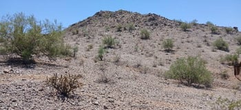 11321 S San Roberto Dr #10, Goodyear, AZ 85338
