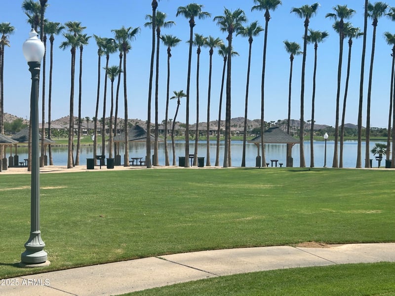 11321 San Roberto Dr #10, Goodyear, AZ 85338