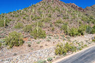11400 Hideaway Ln #1871, Scottsdale, AZ 85255
