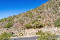 11400 Hideaway Ln #1871, Scottsdale, AZ 85255