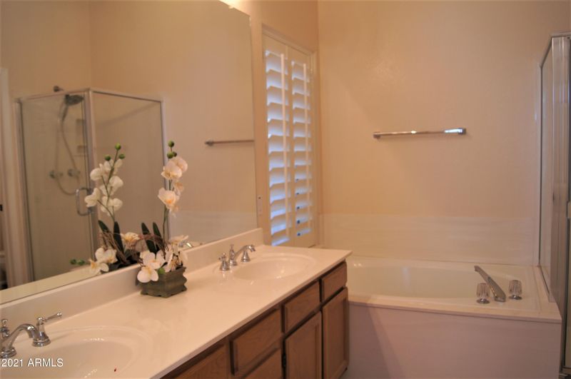 11401 W Orange Blossom Ln, Avondale, AZ 85392