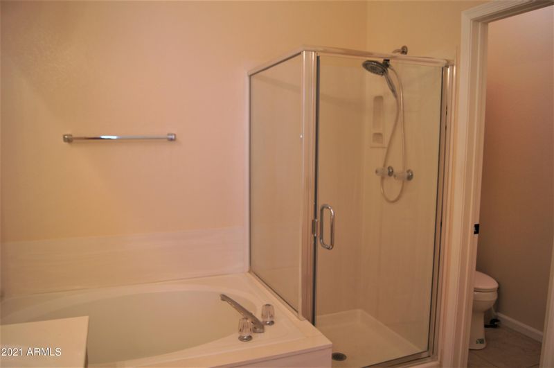 11401 W Orange Blossom Ln, Avondale, AZ 85392