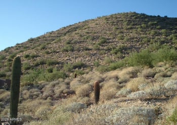 11412 Dreyfus Ave #10, Scottsdale, AZ 85259