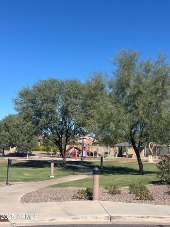 1142 Bajor St, Gilbert, AZ 85298