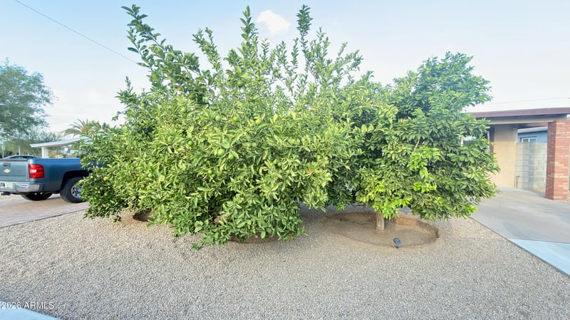 11427 N 112th Dr, Youngtown, AZ 85363