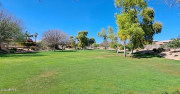 1146 Winchester Pl, Chandler, AZ 85286