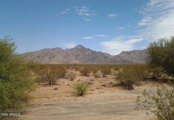 11505 Hunt Hw #-, Goodyear, AZ 85395