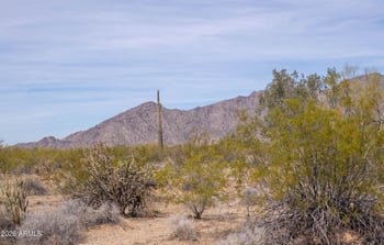 11517 W Hunt Hw #-, Goodyear, AZ 85395