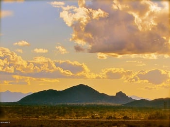 11523 Dreyfus Ave #29, Scottsdale, AZ 85259