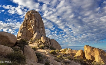 11573 Desert Willow Dr, Scottsdale, AZ 85255