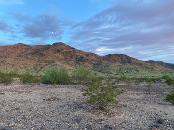 115XX S 36th Ave #-, Laveen, AZ 85339