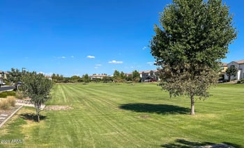 1160 E Marlin Dr, Chandler, AZ 85286