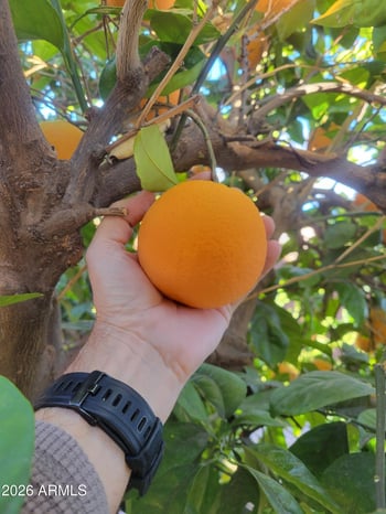 11610 Hubbell St, Avondale, AZ 85392