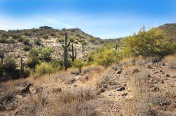 11664 Sunset Vista Dr #45, Fountain Hills, AZ 85268