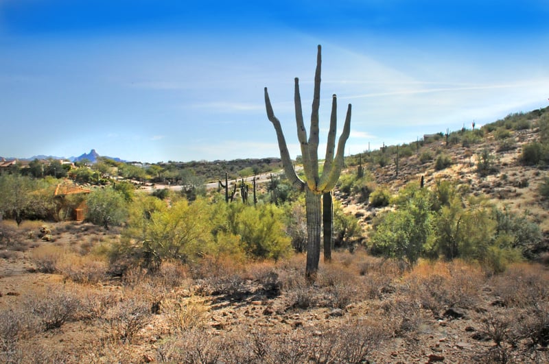 11664 Sunset Vista Dr #45, Fountain Hills, AZ 85268