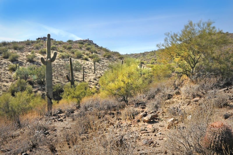 11664 Sunset Vista Dr #45, Fountain Hills, AZ 85268
