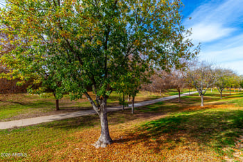 11674 153rd Ave, Surprise, AZ 85379